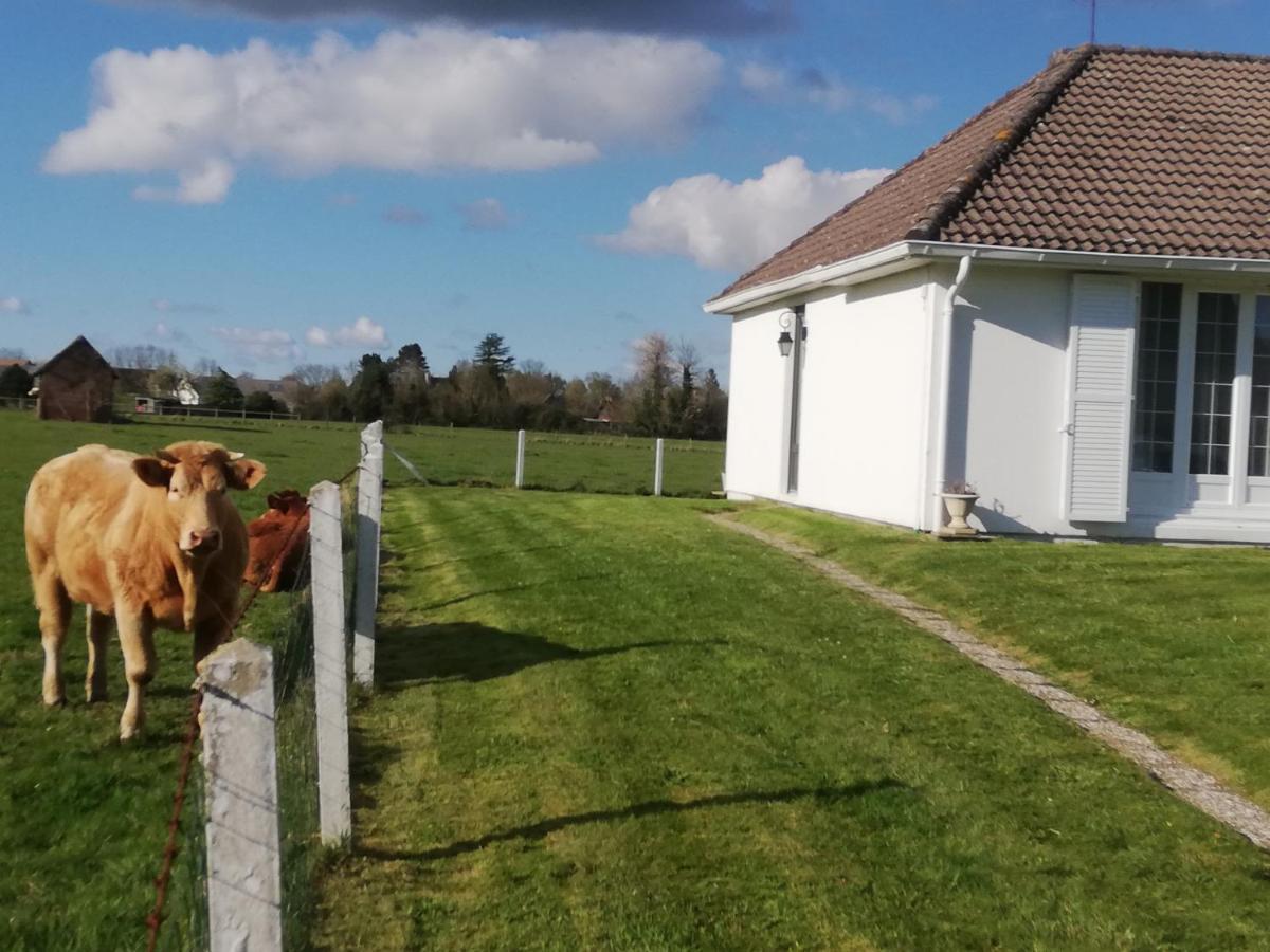 L'Opaline, Jolie Maison Avec Jardin 6 Pers,10Km Honfleur, Linge Et Internet Inclus Beuzeville Exterior foto